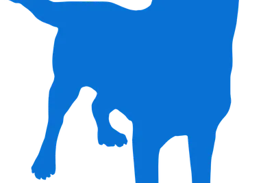 Dog listening