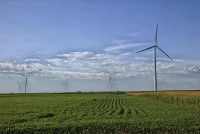 Green future