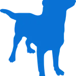 Dog listening