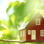 House in the trees